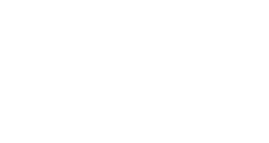 Liberty Hill Vision